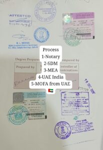 WhatsApp Image 2024-01-11 at 19.29.52